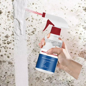 Spray Nettoyant Anti-Moisissure - LeBigDeal™